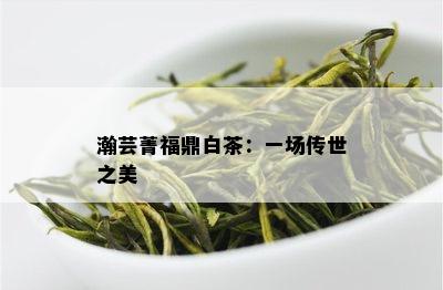 瀚芸菁福鼎白茶：一场传世之美