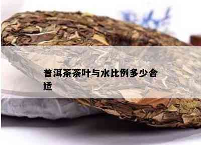 普洱茶茶叶与水比例多少合适