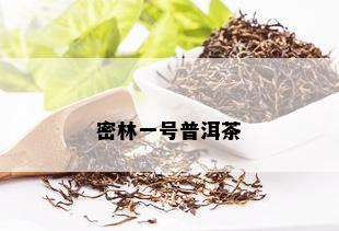 密林一号普洱茶