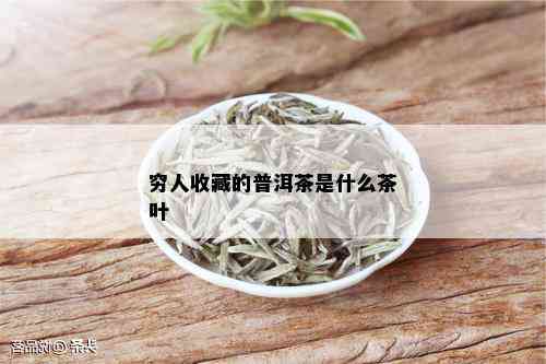 穷人收藏的普洱茶是什么茶叶