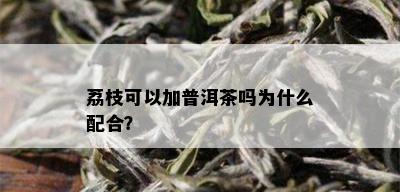 荔枝可以加普洱茶吗为什么配合？