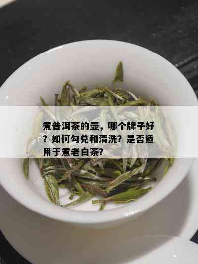 煮普洱茶的壶，哪个牌子好？如何勾兑和清洗？是否适用于煮老白茶？