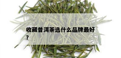 收藏普洱茶选什么品牌更好？