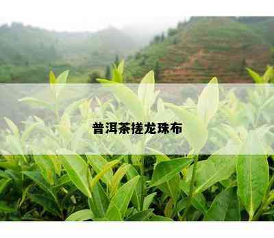 普洱茶搓龙珠布