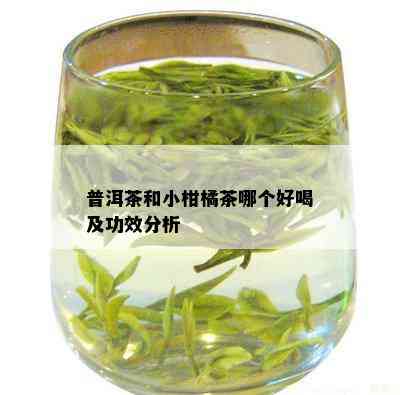 普洱茶和小柑橘茶哪个好喝及功效分析