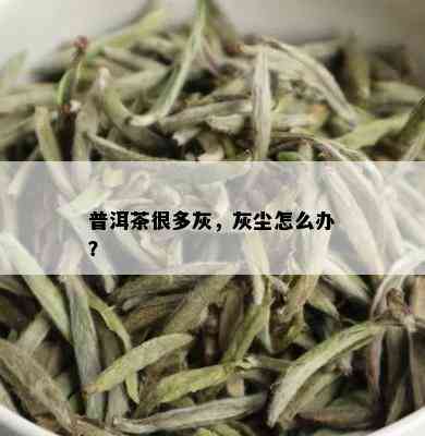 普洱茶很多灰，灰尘怎么办？