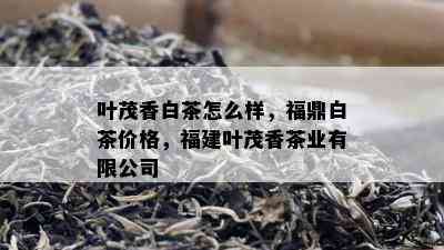 叶茂香白茶怎么样，福鼎白茶价格，福建叶茂香茶业有限公司