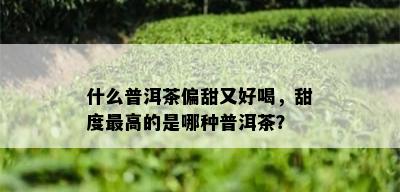 什么普洱茶偏甜又好喝，甜度更高的是哪种普洱茶？