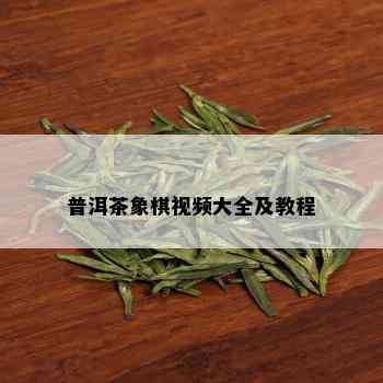 普洱茶象棋视频大全及教程