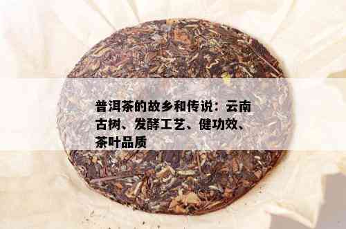 普洱茶的故乡和传说：云南古树、发酵工艺、健功效、茶叶品质