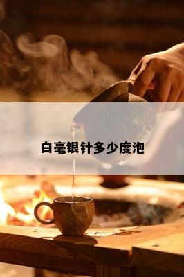 白毫银针多少度泡