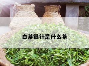 白茶银针是什么茶