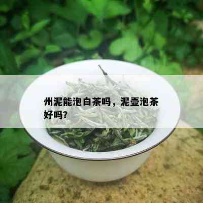 州泥能泡白茶吗，泥壶泡茶好吗？