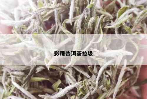 彩程普洱茶拉圾