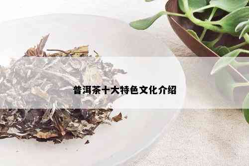 普洱茶十大特色文化介绍