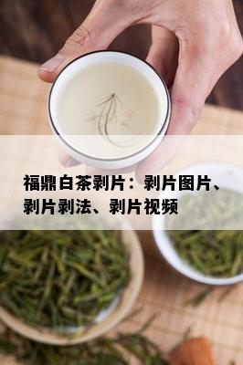 福鼎白茶剥片：剥片图片、剥片剥法、剥片视频