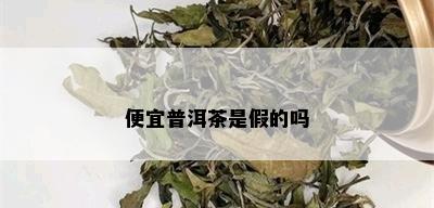 便宜普洱茶是假的吗