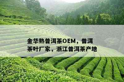 金华熟普洱茶OEM，普洱茶叶厂家，浙江普洱茶产地