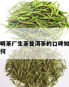 明茶厂生茶普洱茶的口碑如何