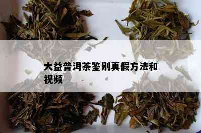 大益普洱茶鉴别真假方法和视频