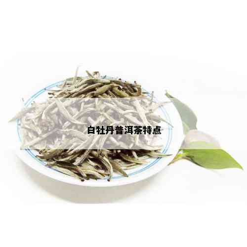 白牡丹普洱茶特点