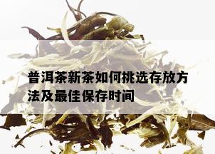 普洱茶新茶如何挑选存放方法及更佳保存时间