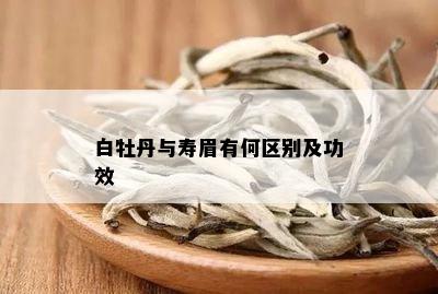 白牡丹与寿眉有何区别及功效