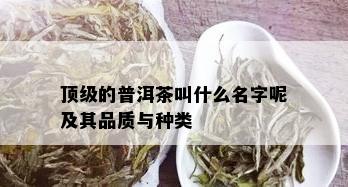 顶级的普洱茶叫什么名字呢及其品质与种类