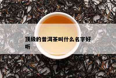 顶级的普洱茶叫什么名字好听