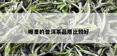 哪里的普洱茶品质比较好