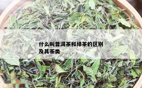 什么叫普洱茶和绿茶的区别及其茶类