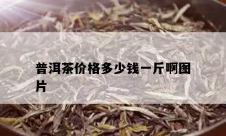 普洱茶价格多少钱一斤啊图片