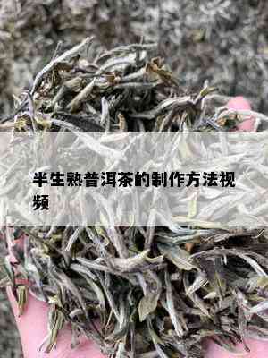 半生熟普洱茶的制作方法视频