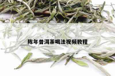 陈年普洱茶喝法视频教程