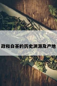 政和白茶的历史渊源及产地