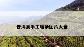 普洱茶手工理条图片大全