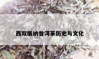 西双版纳普洱茶历史与文化