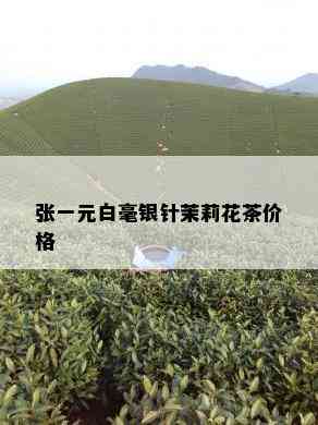 张一元白毫银针茉莉花茶价格