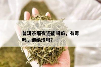 普洱茶隔夜还能喝嘛，有吗，继续泡吗？