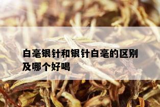 白毫银针和银针白毫的区别及哪个好喝