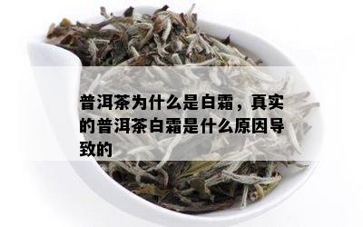 普洱茶为什么是白霜，真实的普洱茶白霜是什么原因导致的