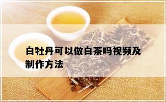 白牡丹可以做白茶吗视频及制作方法