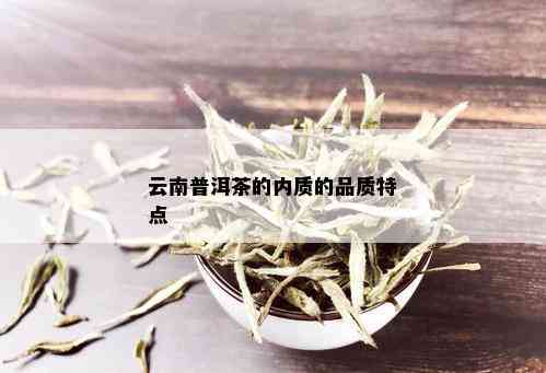 云南普洱茶的内质的品质特点