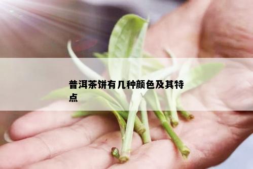 普洱茶饼有几种颜色及其特点