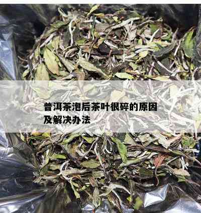 普洱茶泡后茶叶很碎的原因及解决办法