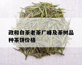 政和白茶老茶厂峰及茶树品种茶饼价格