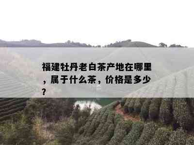 福建牡丹老白茶产地在哪里，属于什么茶，价格是多少？