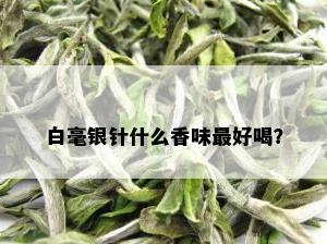 白毫银针什么香味更好喝？