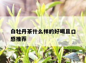 白牡丹茶什么样的好喝且口感推荐