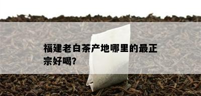 福建老白茶产地哪里的最正宗好喝？